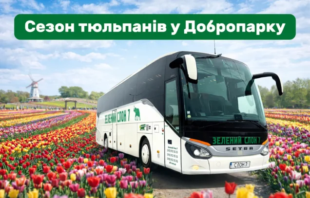 Коли відкривається сезон тюльпанів у Добропарку